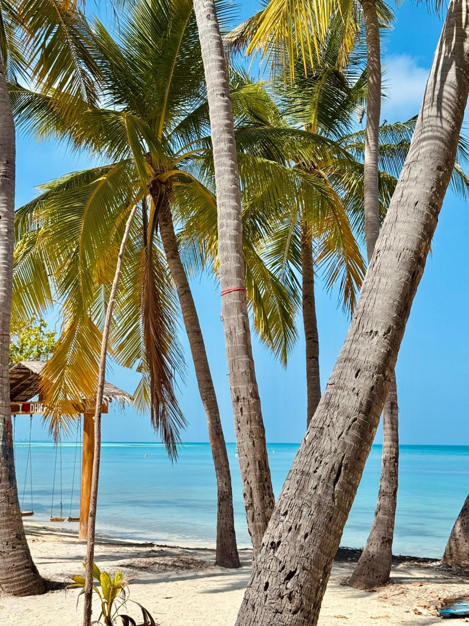 דיפושי Ameera Maldives מראה חיצוני תמונה